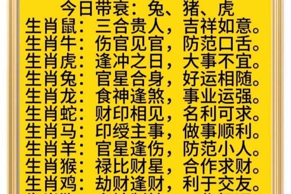 属什么？生肖运势解析与建议