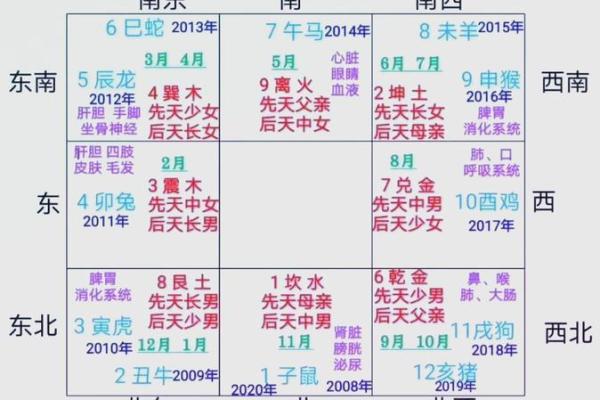 如何通过八字群号解读命运与人生轨迹