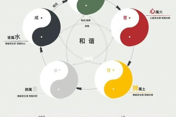 琉璃五行属性解析与意义探讨