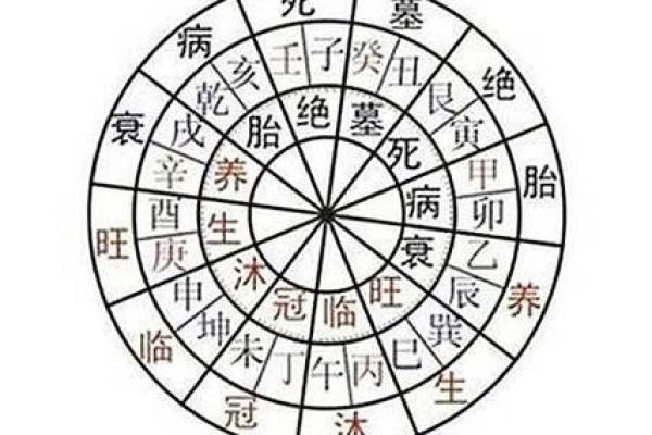 八字财库透视：探索财运与财富积累的奥秘