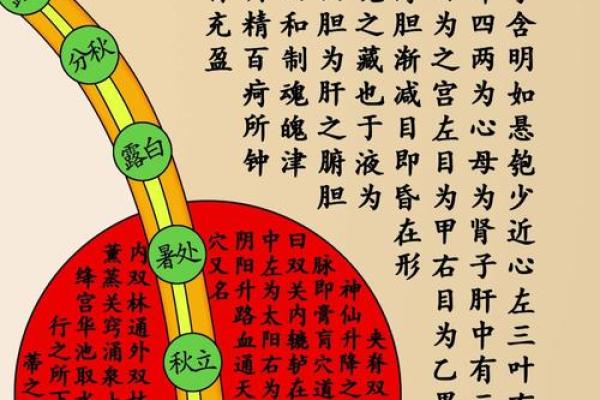 如何运用五行天罡提升个人运势