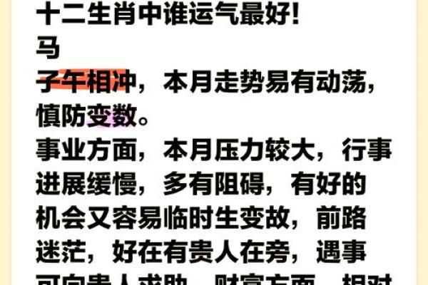 十二生肖运势大揭秘：财运、爱情与事业全解析