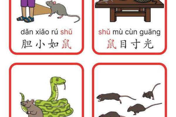 十二生肖成语背后的文化寓意与智慧解析