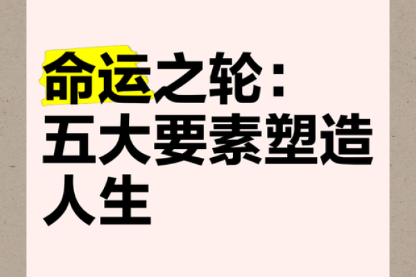 从命理看人生：命运如何塑造你我