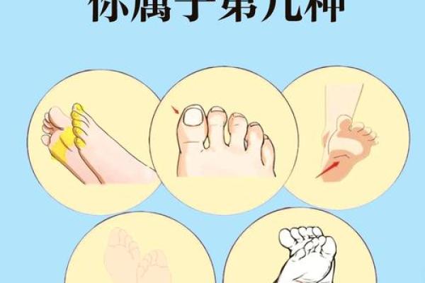 脚趾形状与命运的关系：哪些脚趾代表富贵命运