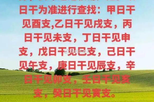 八字命理解析与人生运势解读