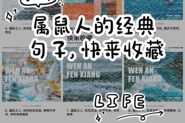 鼠年男孩命名推荐:展现智慧与活力的名字 鼠年男孩命名推荐:展现智慧与活力的名字