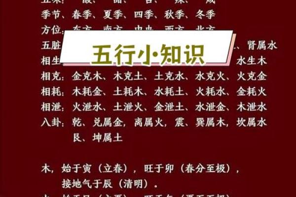 语在五行中属于哪个元素解析