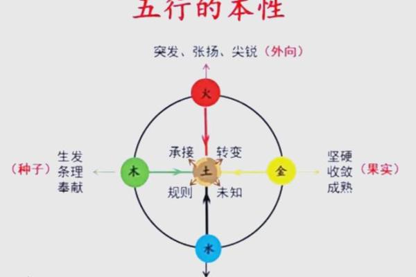 语在五行中属于哪个元素解析