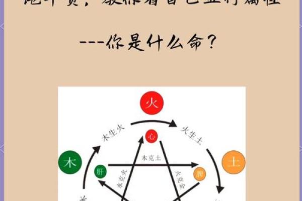 思在五行中属于什么?探索其五行属性与影响 思在五行中属于什么?探索其五行属性与影响