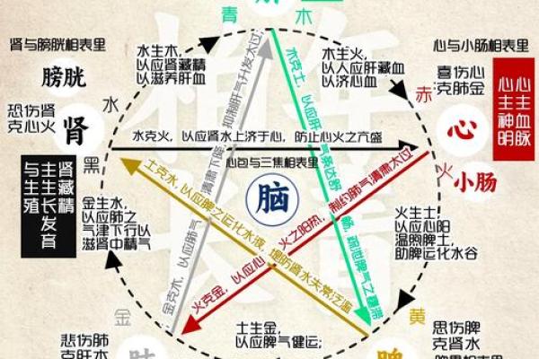 思在五行中属于什么?探索其五行属性与影响 思在五行中属于什么?探索其五行属性与影响