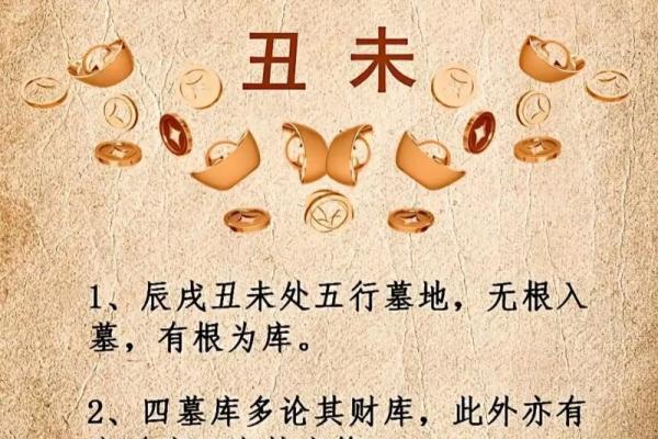 命里带金库是什么意思及其深层含义解析