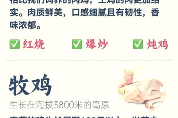 给鸡宝宝取名时的文化禁忌与建议 给鸡宝宝取名时的文化禁忌与建议