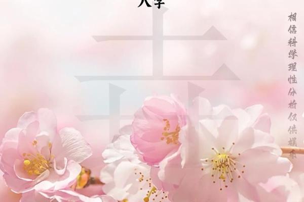 八字桃花的含义与命理分析揭秘