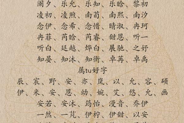 为龙凤胎宝宝挑选合适的名字 寓意深远且音韵和谐