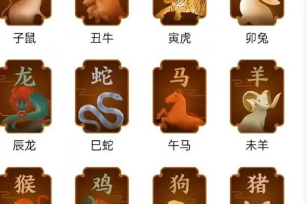揭秘冲锋陷阵背后的生肖特点