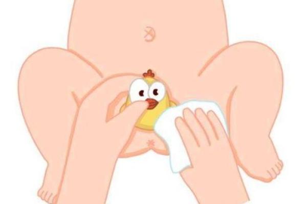 提升鸡宝宝魅力的名字选择秘诀 提升鸡宝宝魅力的名字选择秘诀