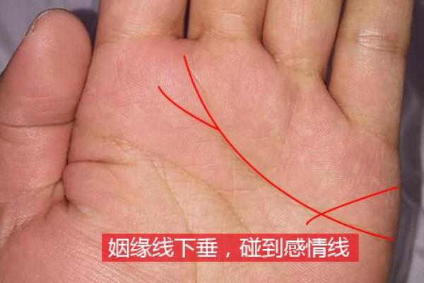 双重桃花八字的性格特点与情感倾向