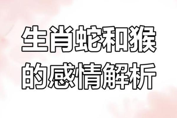 龙蛇相配的可能性揭秘：性格与命运的碰撞