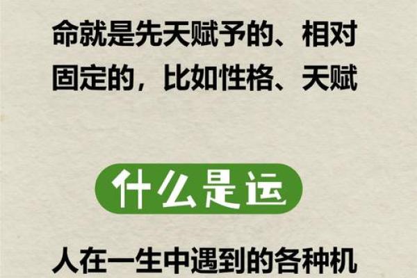 免费八字分析，深度解读你的命运与运势