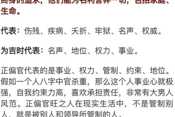 从包子八字看人生：食物背后的命理学启示