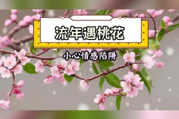 双重桃花八字是爱情的幸运还是负担