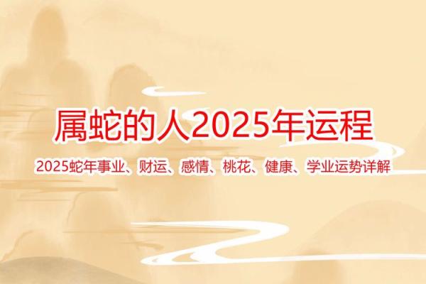 提升属蛇人士事业运的办公室风水布局指南