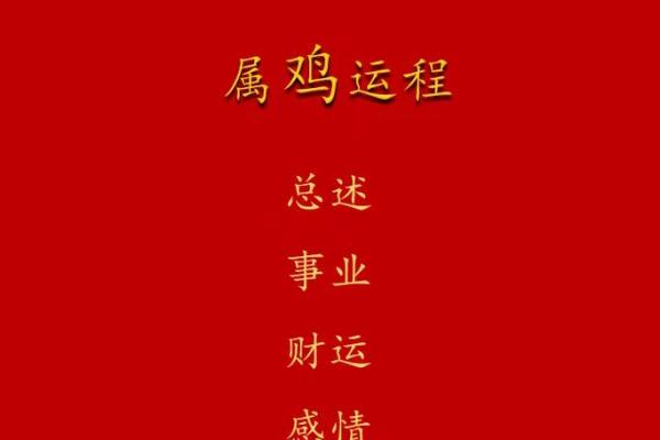属鸡后天运势解析：如何把握未来的成功机遇