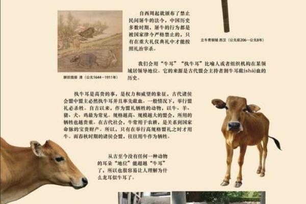 探索生肖文化的起源与传承