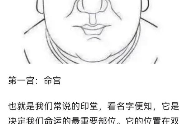 面相中哪些特征预示着富贵命运