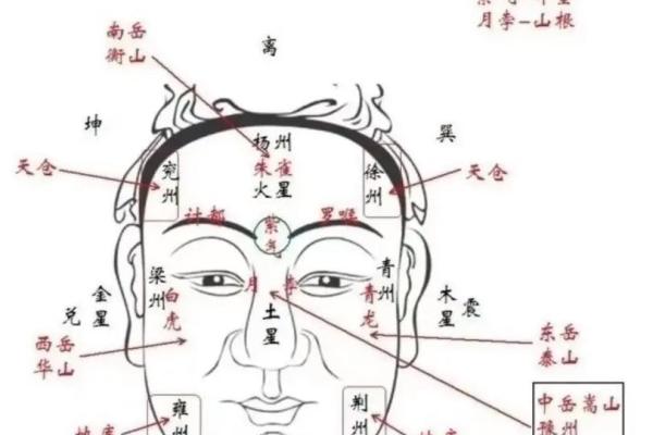 面相中哪些特征预示着富贵命运