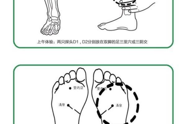 五行理论下的糖:如何影响你的健康平衡 五行理论下的糖:如何影响你的健康平衡
