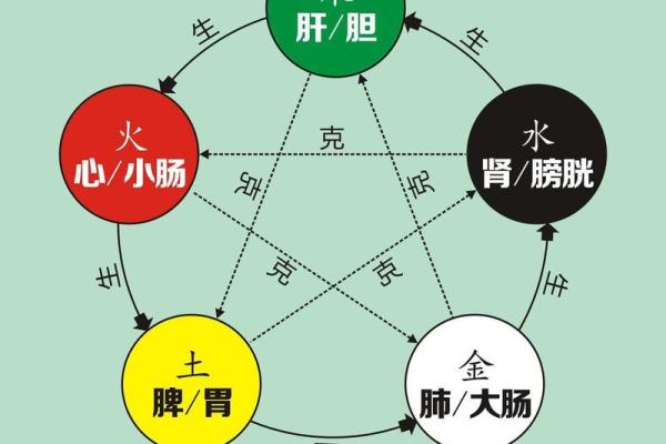 五行阴阳图的深层含义与实践应用探索