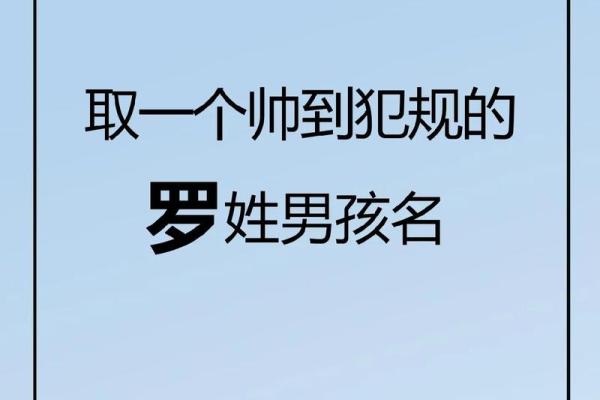罗姓五行属什么？深入解析其五行命理特点