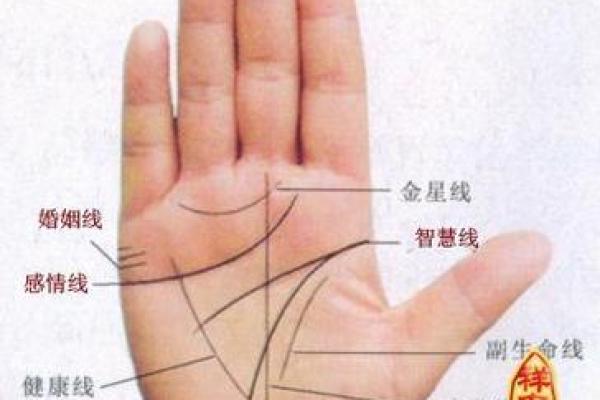 男命八字如何揭示婚姻的未来发展方向
