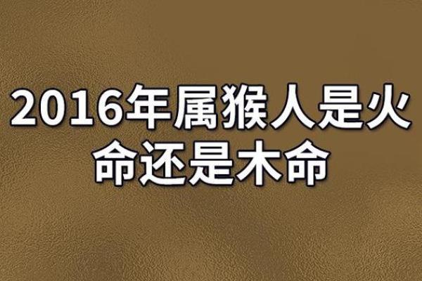 猴人在的运势起伏与应对策略
