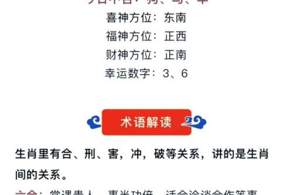 生肖运势预测：哪些生肖运气爆棚，哪些需谨慎