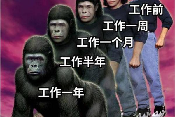 谁说只有人类打工？这些动物也在拼命工作