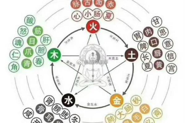 打字五行属性解析:如何通过五行提升你的打字效率 打字五行属性解析:如何通过五行提升你的打字效率