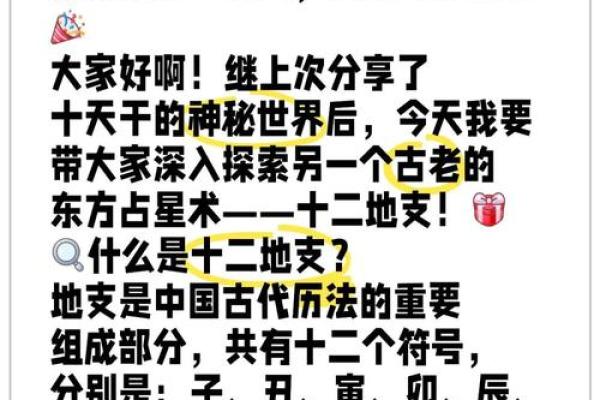 董明珠的生辰八字揭秘：成功背后的命运密码到底是什么？