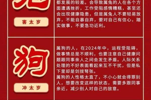 生肖的运势变化与应对策略