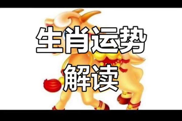 生肖运势预测：幸运与挑战并存