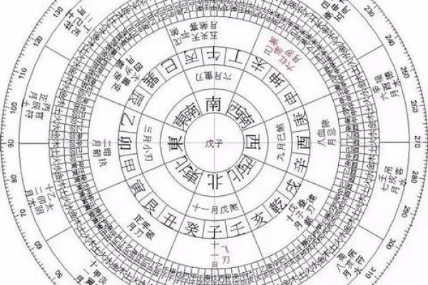 从五行角度分析木虎为何为水命