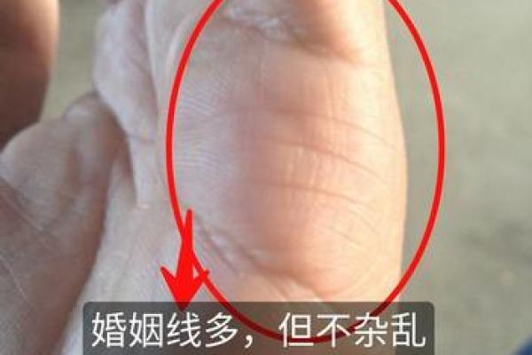 男命双桃花，命运中的感情纠葛与选择