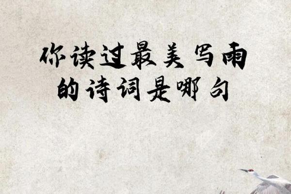 雨诗的名字背后蕴藏的深刻寓意