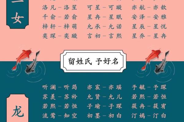 双胞胎宝宝起名全攻略:精选名字与寓意 双胞胎宝宝起名全攻略:精选名字与寓意