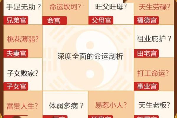 出生命格影响的深度剖析