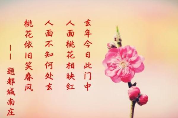 男命双桃花，是否意味着感情生活中的多重选择