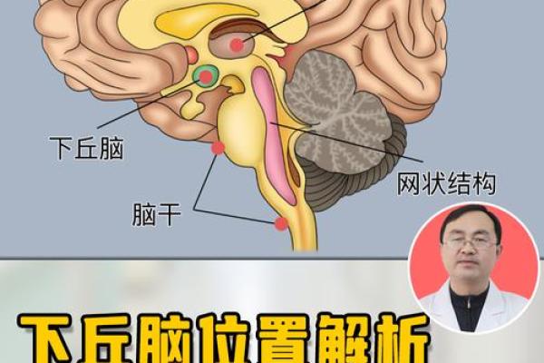 揭秘八字结构的奥秘，掌握命运的关键！