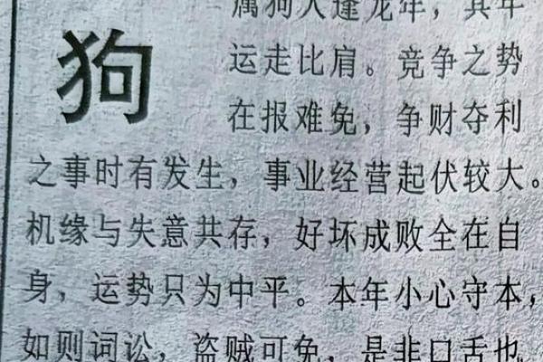 属狗人的每月运势解析